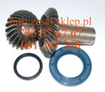 Zestaw naprawczy przekładni kątowej wentylatora Tourismo, Travego