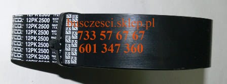 pasek12pk2500.JPG