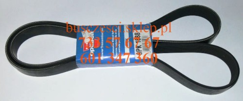9pk1888.JPG