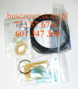 Zestaw naprawczy siłownika drzwi wabco 422 810 0002 Daf Neoplan Evobus