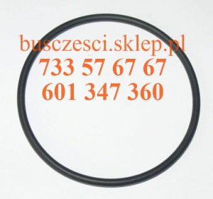 Oring tłoczka zacisku Setra 4k85 Q82840002150