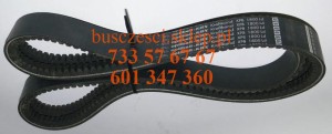 Pasek klinowy zębaty 2x17 XPB 1800 Ld